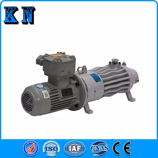 Anti-Explosion Air Cooled Dry Screw Vacuum Pump