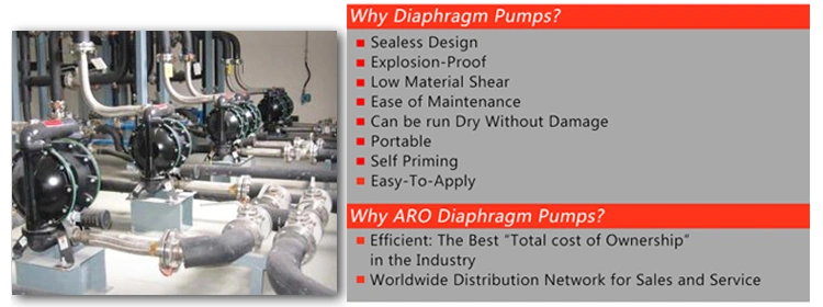 Plastic Chemical Acid Proof Air Pneumatic Double Diaphragm Pump