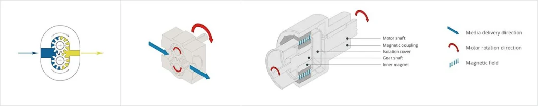 Long Service Life Stainless Steel Magnetic Drive Micro Gear Pump