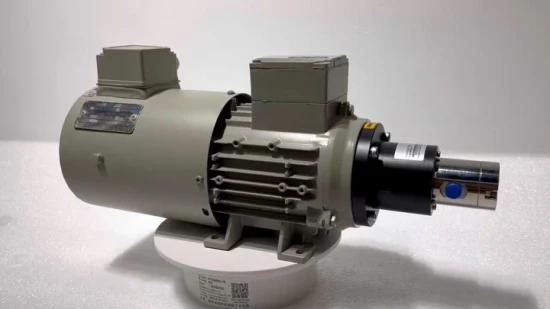 Bomba de engranajes de transmisión magnética en miniatura para procesamiento de alimentos Micro con motor IEC