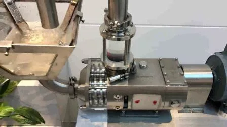 Bomba sanitaria de doble tornillo Donjoy para aplicaciones de alta viscosidad