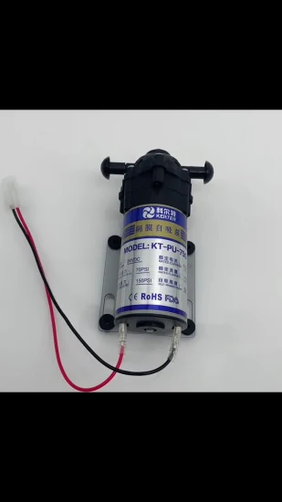 Repuestos para tratamiento de agua, bomba de refuerzo de diafragma eléctrico RO hidráulico de alta presión, bomba autocebante DC24V 75gpd para purificador de agua RO